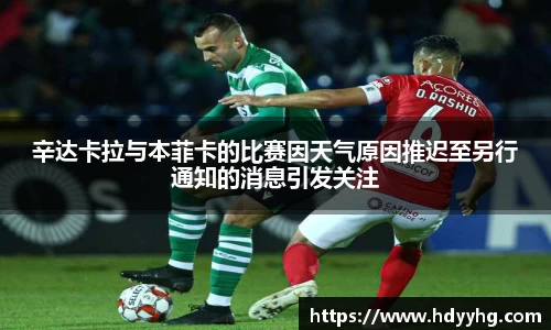 辛达卡拉与本菲卡的比赛因天气原因推迟至另行通知的消息引发关注